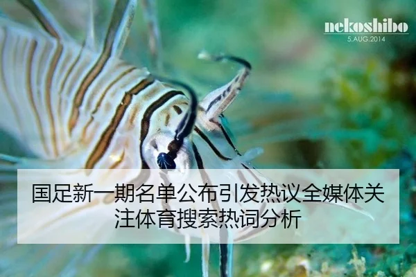 国足新一期名单公布引发热议全媒体关注体育搜索热词分析
